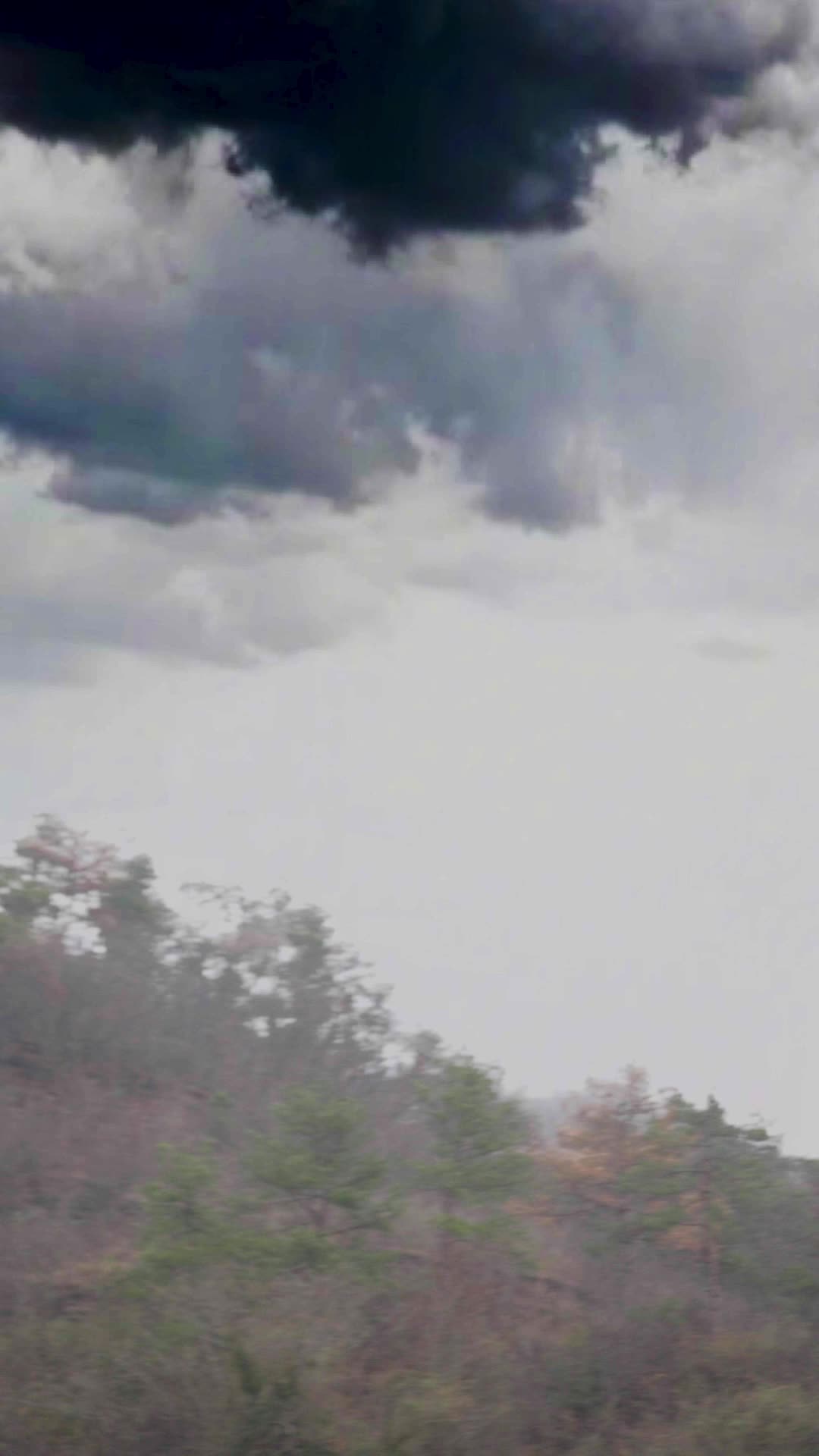 Episode 15 - Sorry Dad, I'm Here to Piss You Off